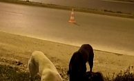 Radar polis memuru iftar kumanyasını sokak köpeklerine verdi