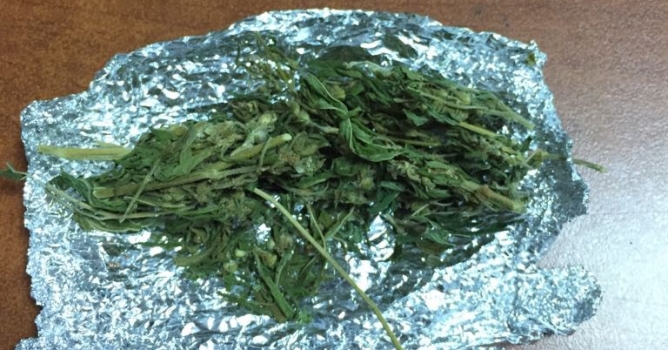 Uyuşturucu taciri yakalandı