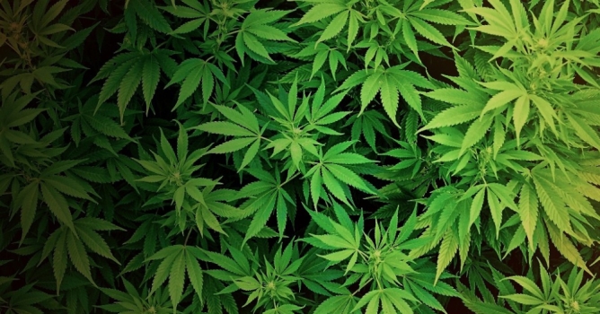 Uyuşturucuya 8 yıl 4 ay hapis