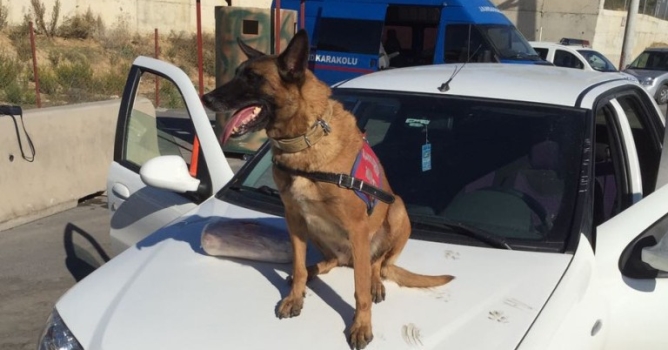 Uyuşturuya 'Çıtır' engeli 