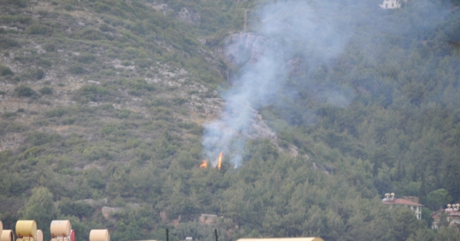 Yarım dönüm orman yandı 