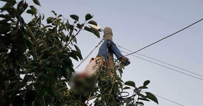 Yaylada korkunç ölüm 