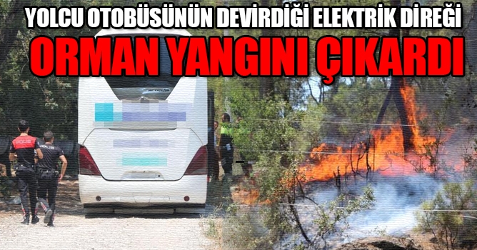 Yolcu otobüsünün devirdiği elektrik direği orman yangını çıkardı 