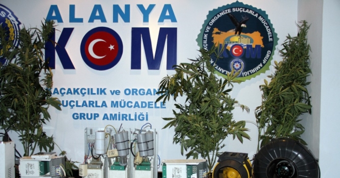 Zehir tacirlerine şafak operasyonu!