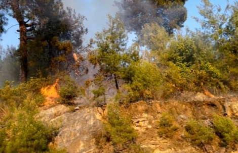 Alanya'da yerleşim yerlerine yakın bölgede yangın paniği!